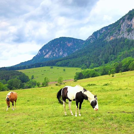 Glamping Hohe Wand - Zelt Mit Sternenfenster Und Whirlpool Hotel Maiersdorf Kültér fotó