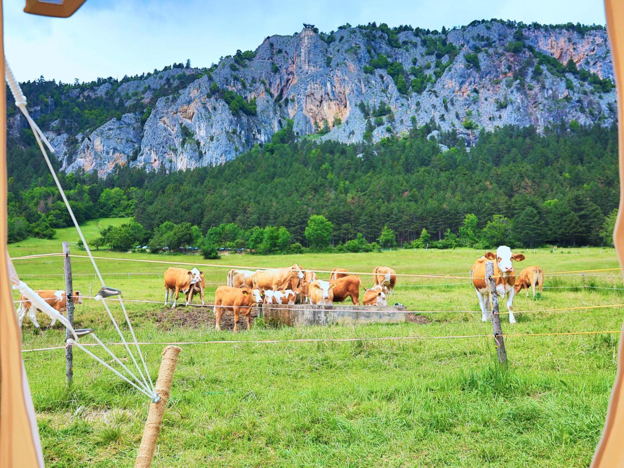 Glamping Hohe Wand - Zelt Mit Sternenfenster Und Whirlpool Hotel Maiersdorf Kültér fotó